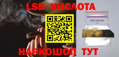 стафф Донецк