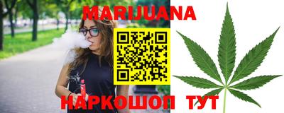 спиды Дубна