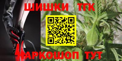 спиды Дубна