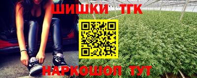 стафф Донецк