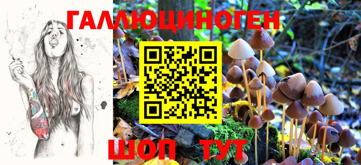 Псилоцибиновые грибы мухоморы Малгобек