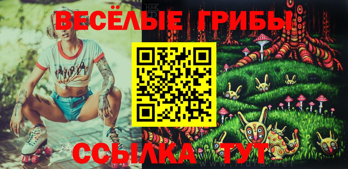 Галлюциногенные грибы ЛСД  Галлюциногенные грибы Psilocybe  Малгобек  Вход с VPN 
